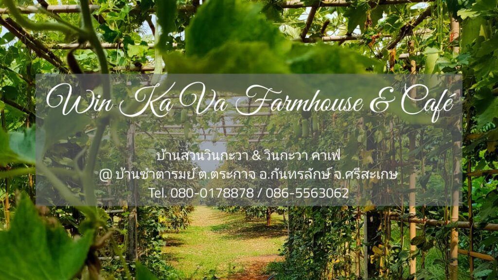 บ้านสวนวินกะวา สวนทุเรียนภูเขาไฟ & Café ต.ตระกาจ อ.กันทรลักษ์ จ.ศรีสะเกษ