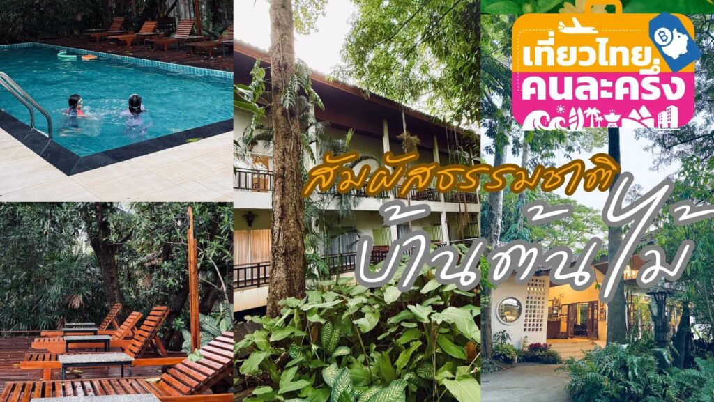 โรงแรมบ้านต้นไม้ อ.เมือง จ.ศรีสะเกษ 080 477 7854