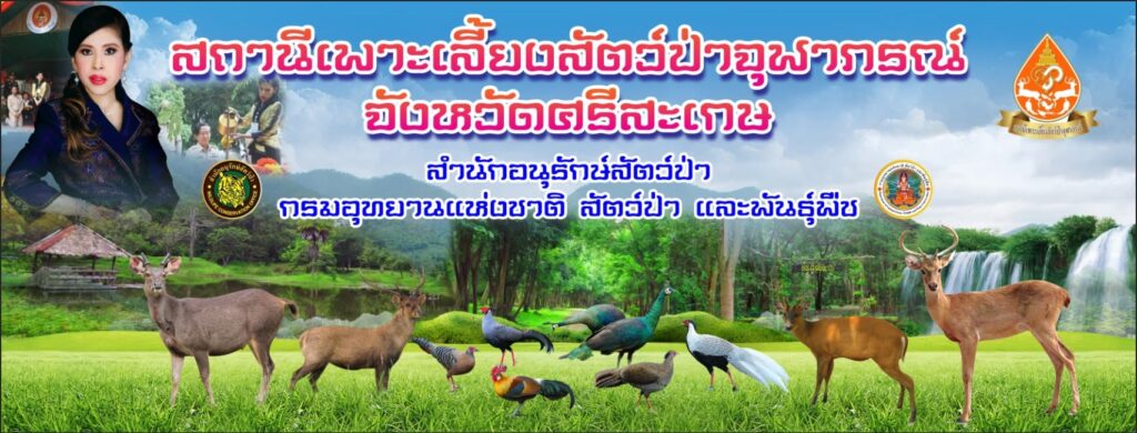 สถานีเพาะเลี้ยงสัตว์ป่าจุฬาภรณ์ หมู่บ้านทับทิมสยาม 06 อ.ขุขันธ์ จังหวัดศรีสะเกษ สวนเสือโคร่งและสัตว์ป่าหลายชนิด 086 879 7788